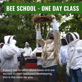 Bee School - One Day Class