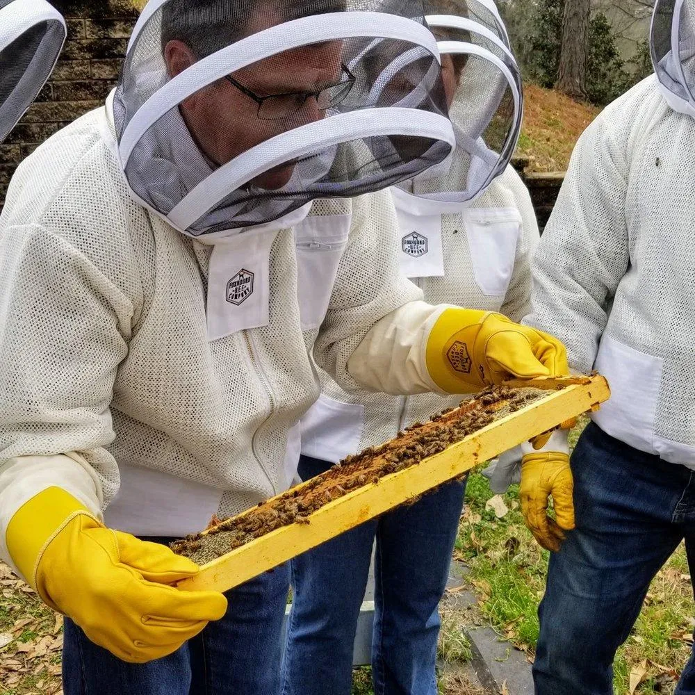 Bee School - One Day Class