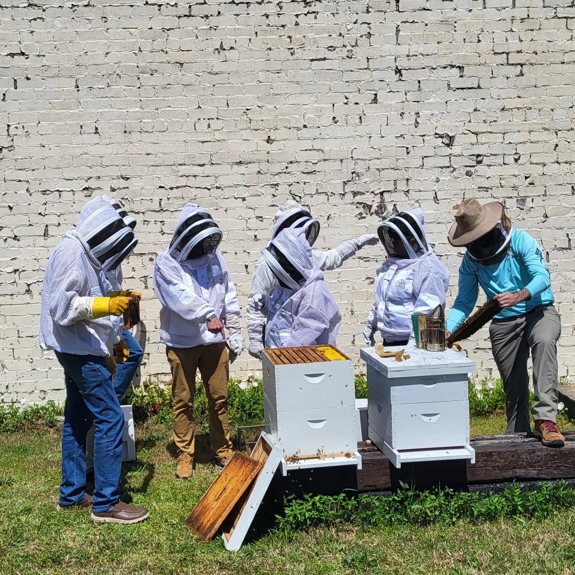 Bee School - One Day Class