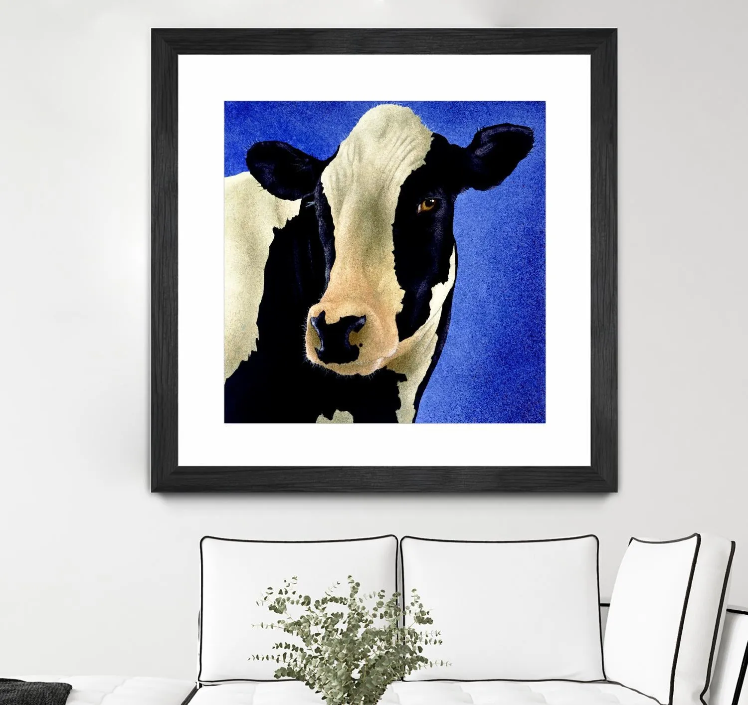 Blue Moo Moo