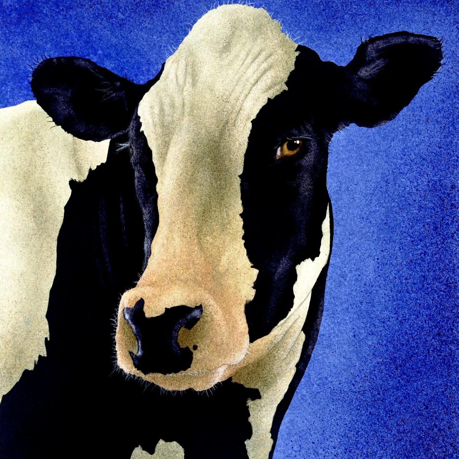 Blue Moo Moo