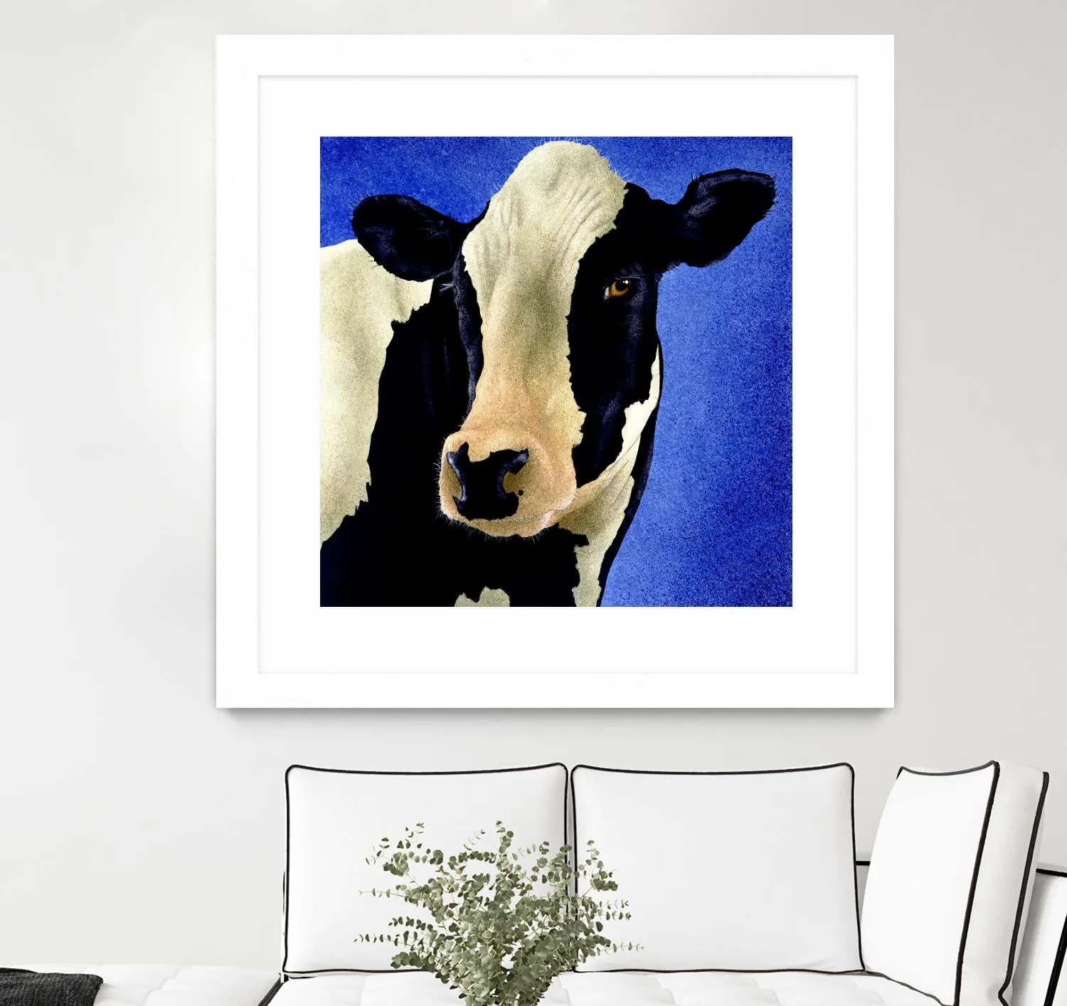 Blue Moo Moo