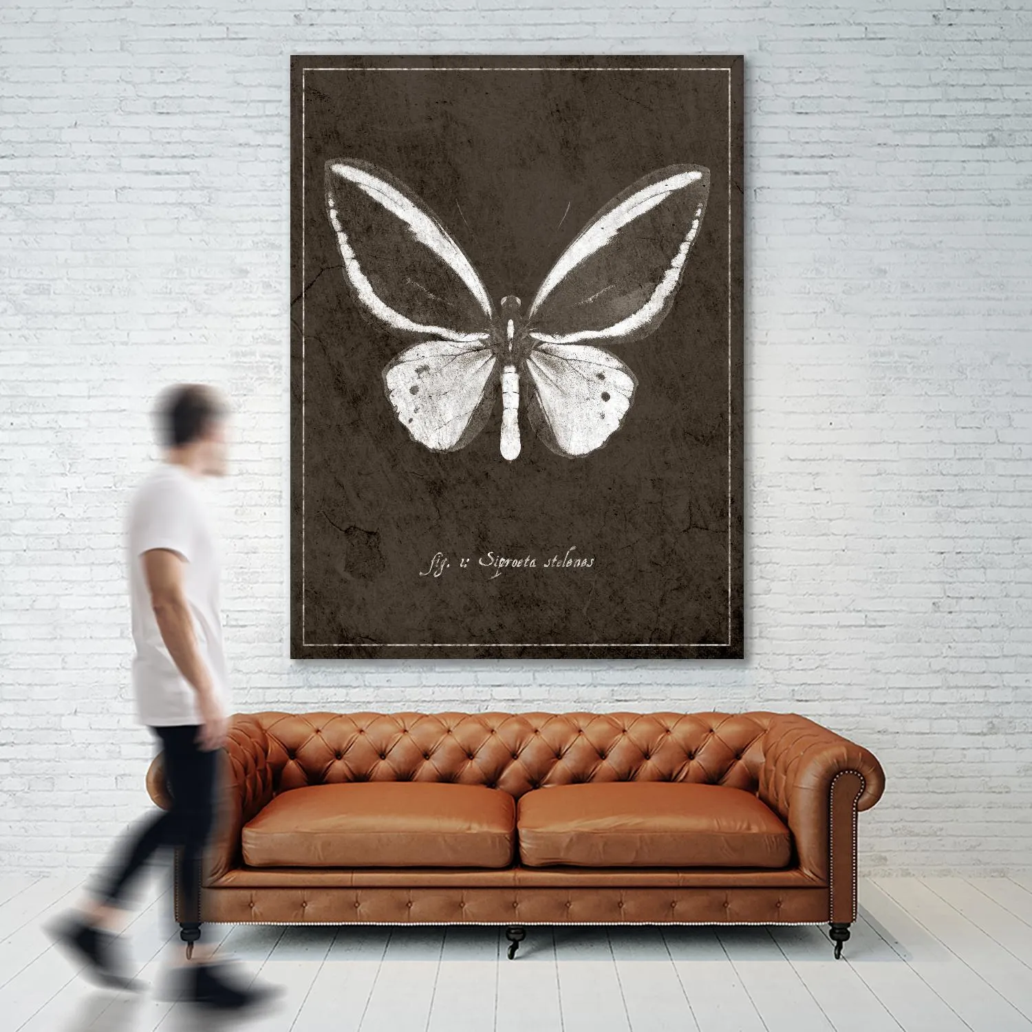 Butterfly I