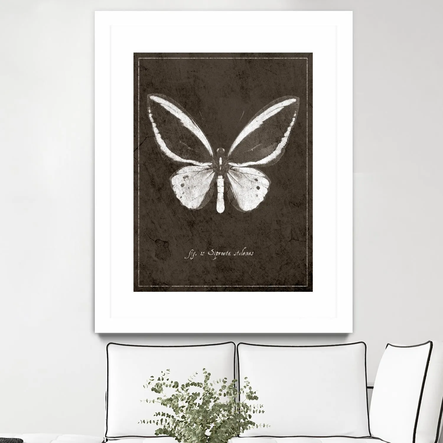 Butterfly I