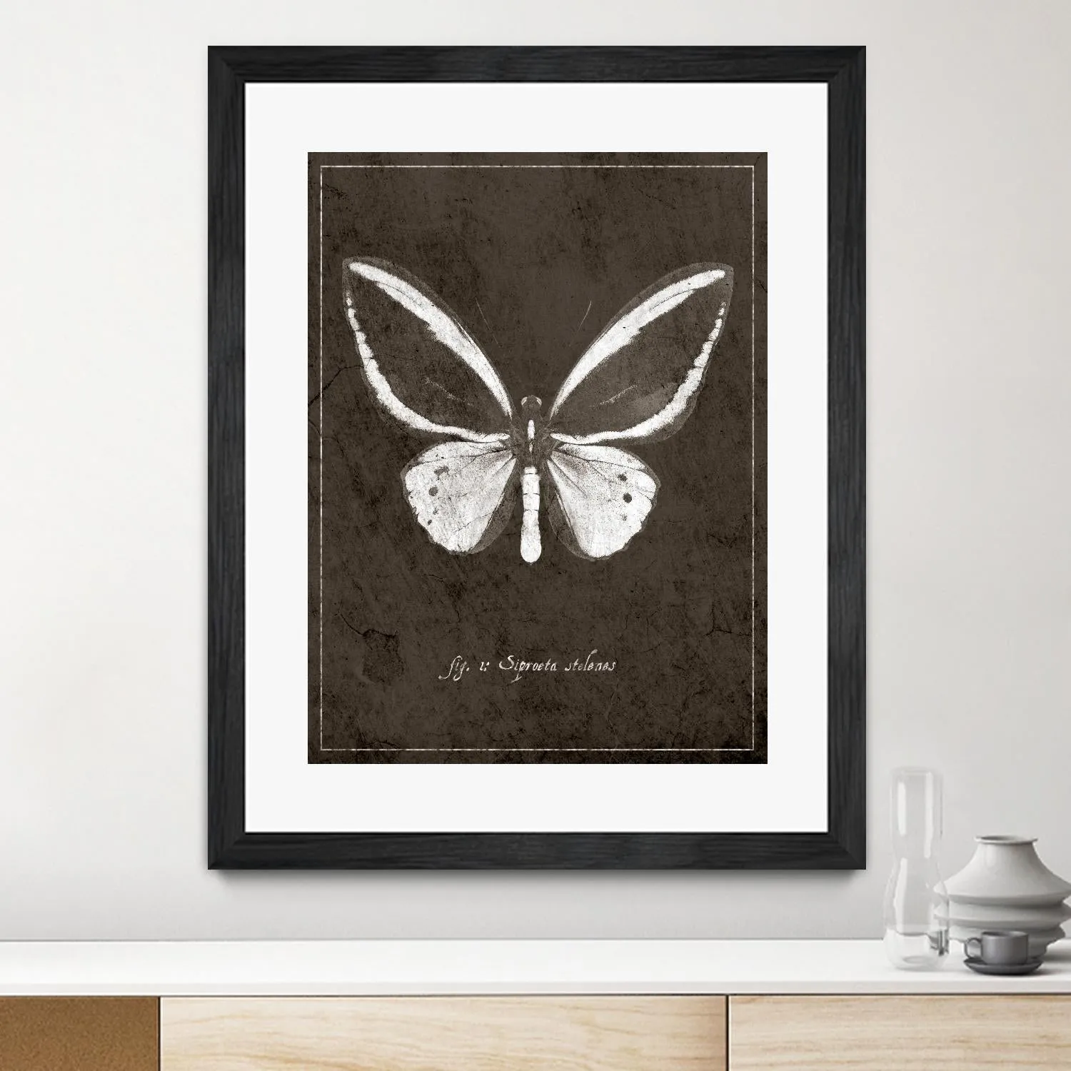 Butterfly I