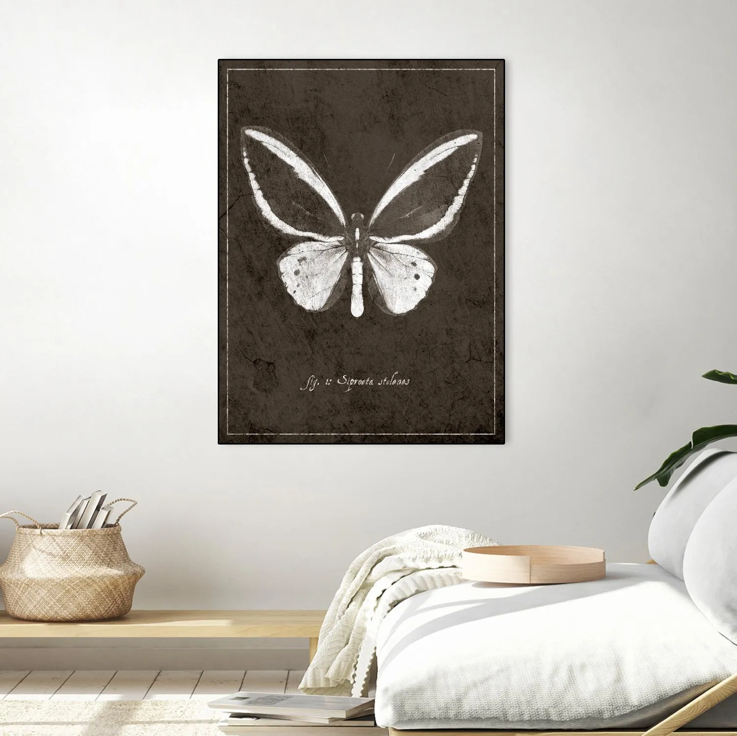 Butterfly I