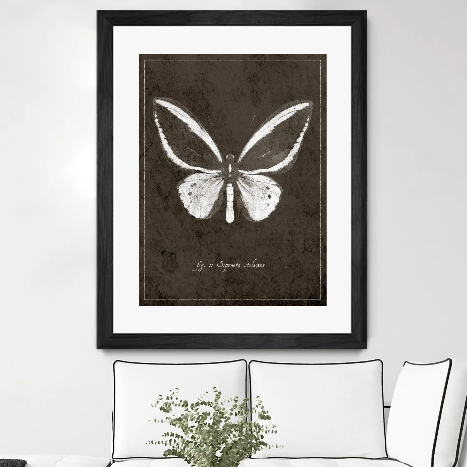 Butterfly I