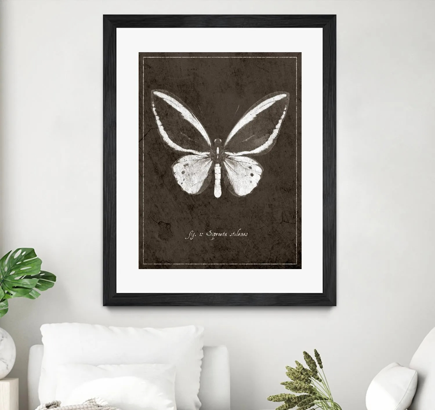 Butterfly I