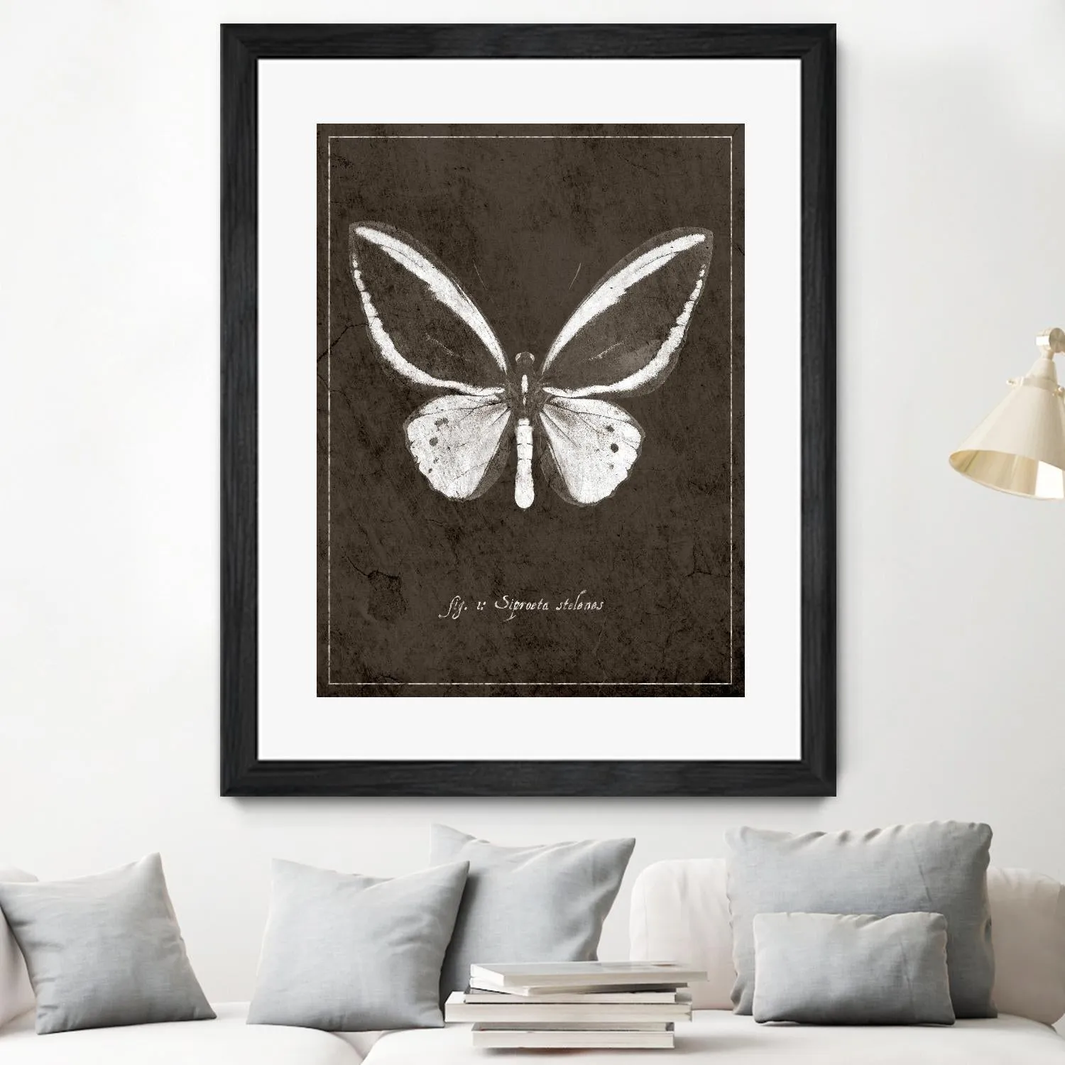 Butterfly I