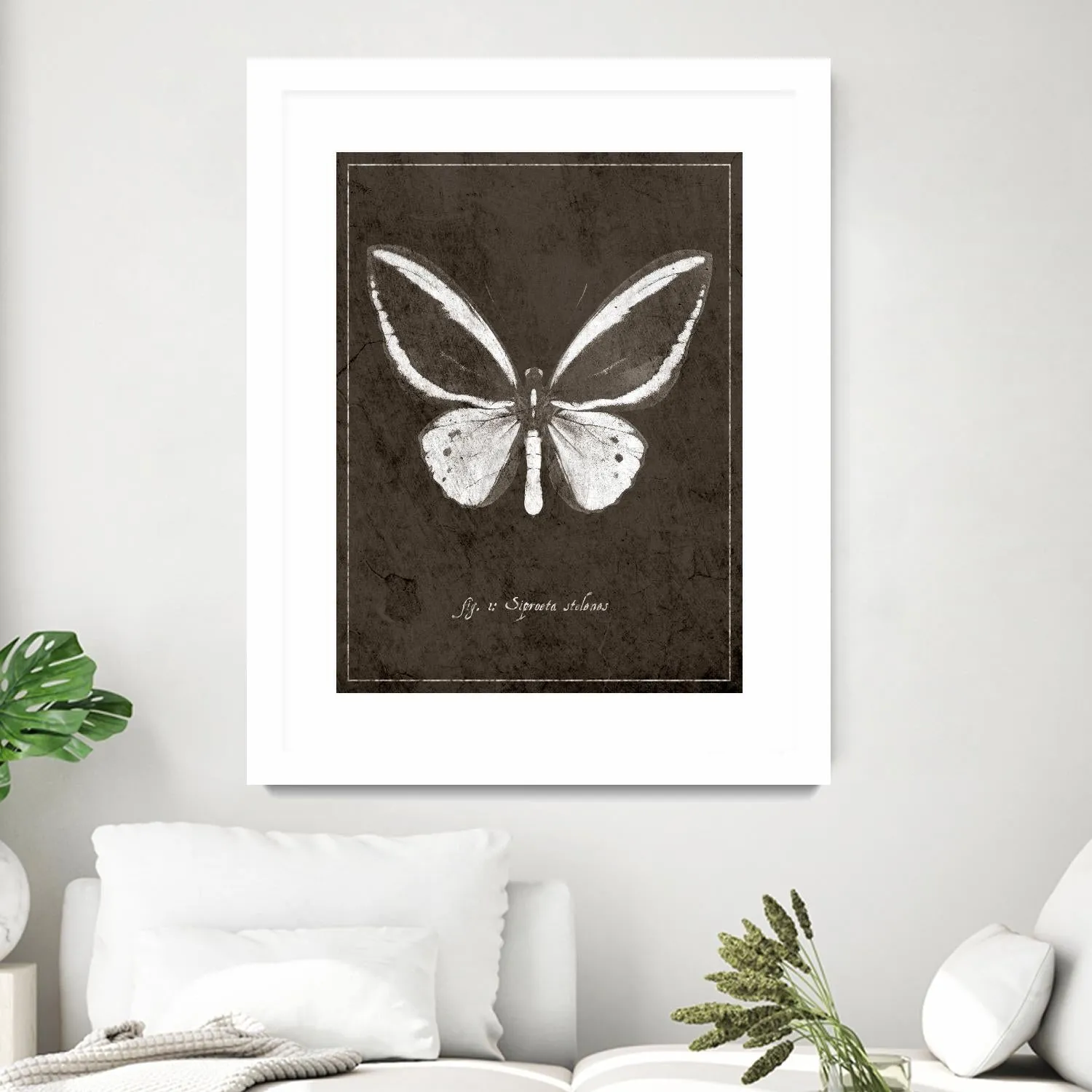 Butterfly I