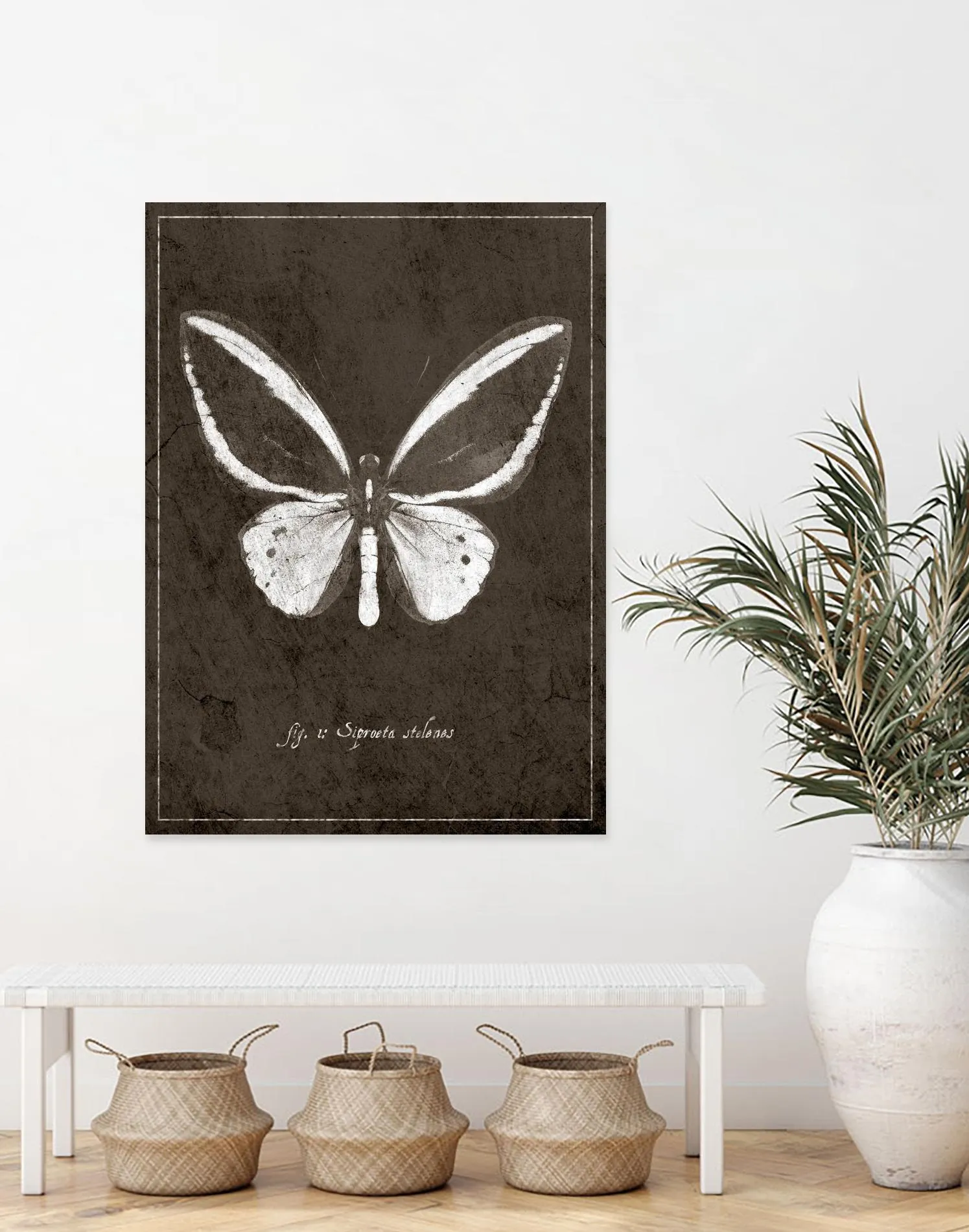 Butterfly I