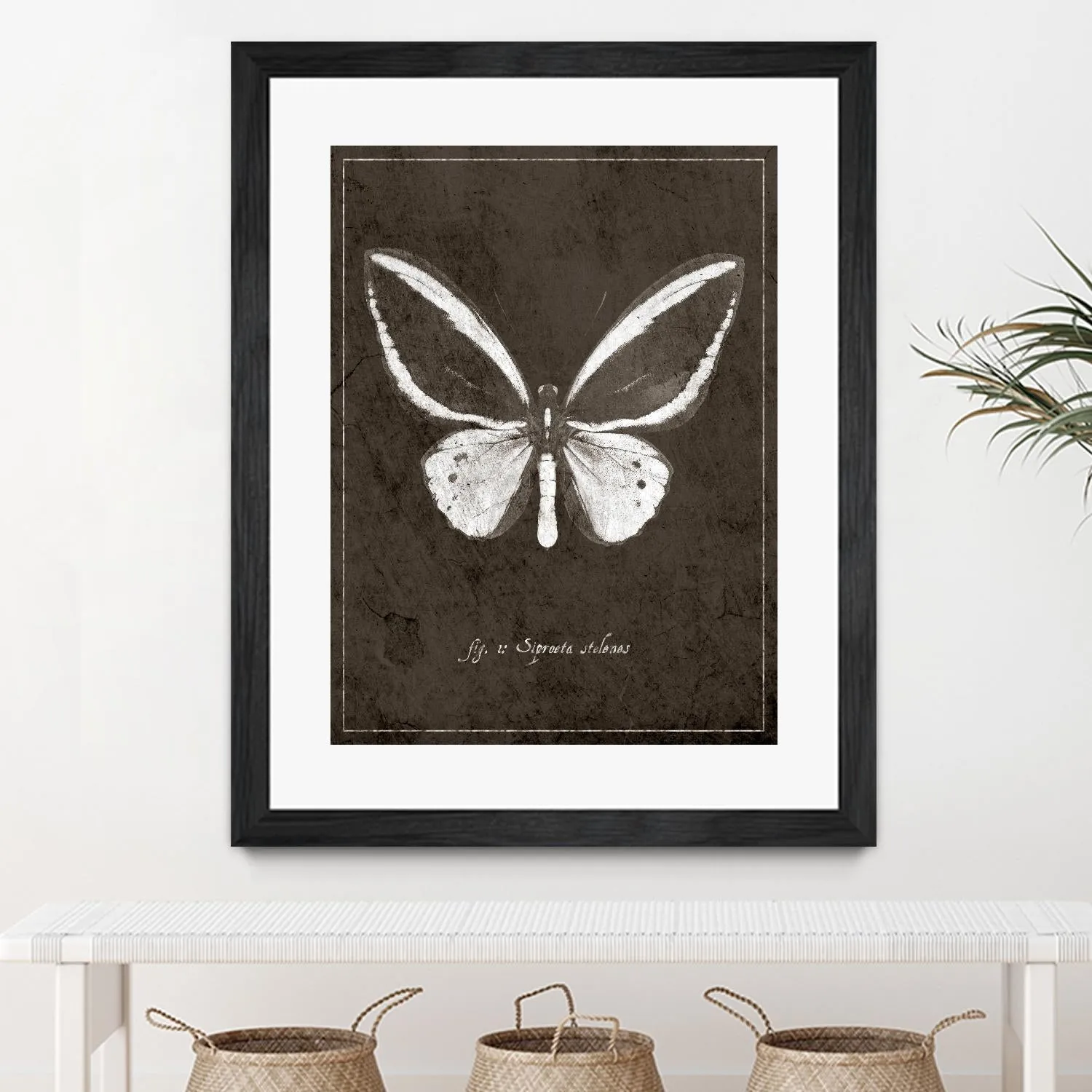 Butterfly I