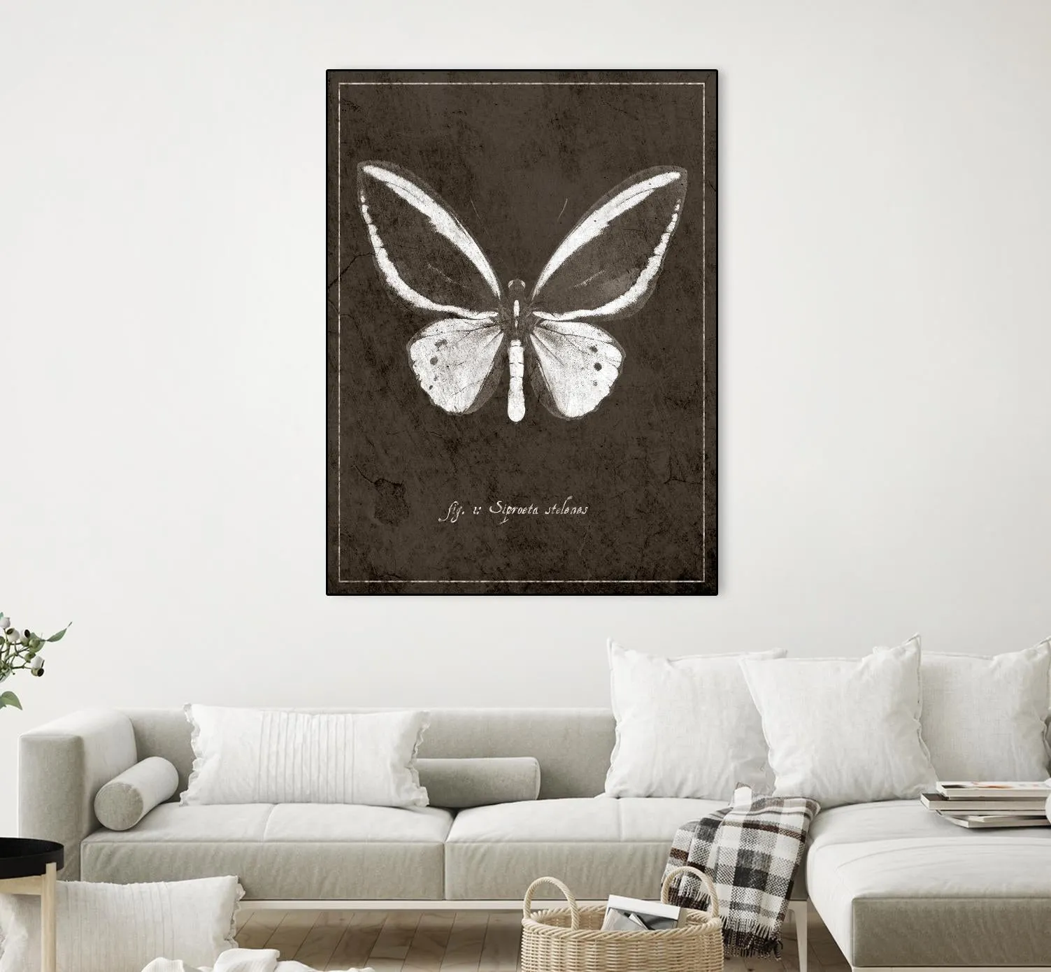 Butterfly I